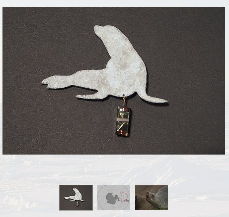 MigConnectivity's tweet image. geolocationjourneys.com is re-purposing animal trackers as jewelry to fund research in Southern Ocean. Love! @UTAS_