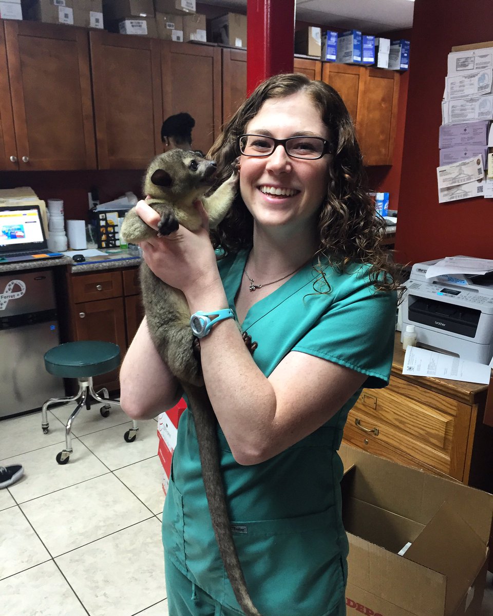 dr thielen exotic animal er