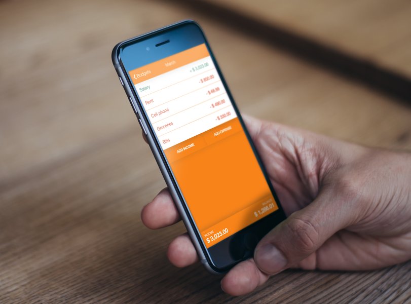Check out this app Fudget I've been using to manage my money! fudget.dconnell.co.uk