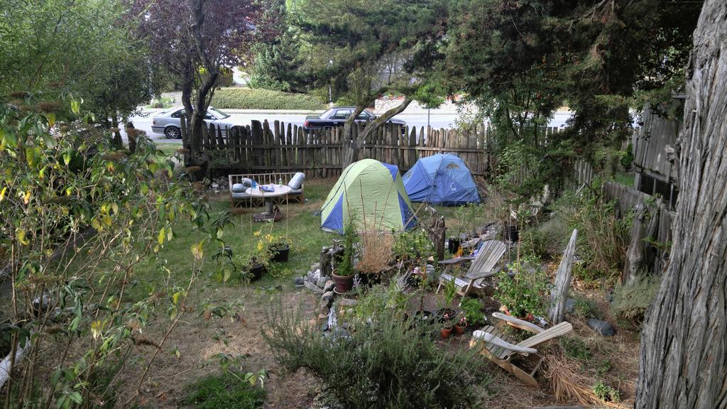 Our rifflandia home! #RIFF2016 #homeiswerethehomiesare #findyourjoydistrict