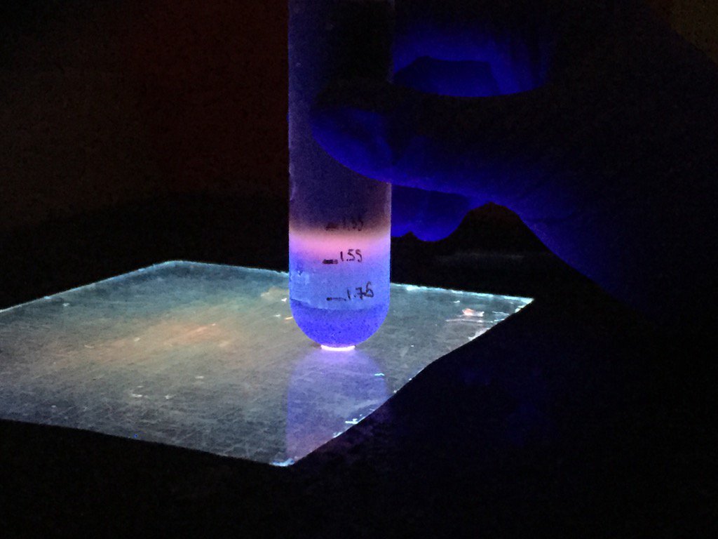 Tequila_N_Poop's tweet photo. cesium chloride gradient purification of phages.  beautiful work by Fatima and Landon. https://t.co/bM77gQ6Pl9