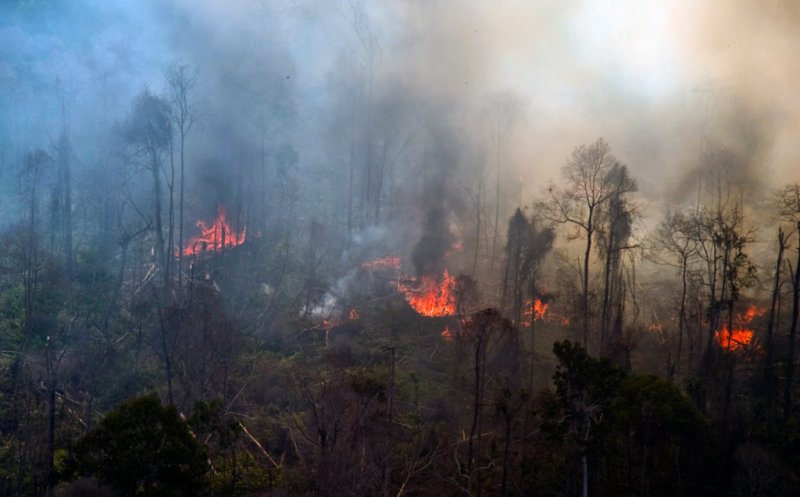 okezonenews's tweet photo. Satgas Amankan Terduga Pelaku Pembakar Hutan Lindung Bukit Suligi Riau https://t.co/S7NcXHfy1S https://t.co/YED8JJHNBy