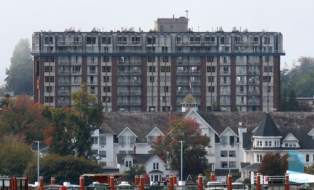 VibrantVictoria.ca tweet media