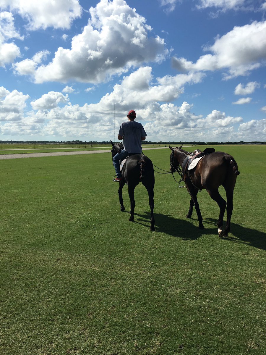 melissaganzi's tweet photo. Riding the #future 4 year olds out of our #polo stud #OpenQuarzo @SantaRitaPolo @juan_bollini https://t.co/K7dBNn6sZ2