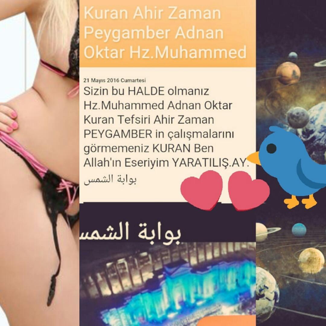 @oalsaleh23 <a href="/radwan003/">رضوان اسماعيل</a>