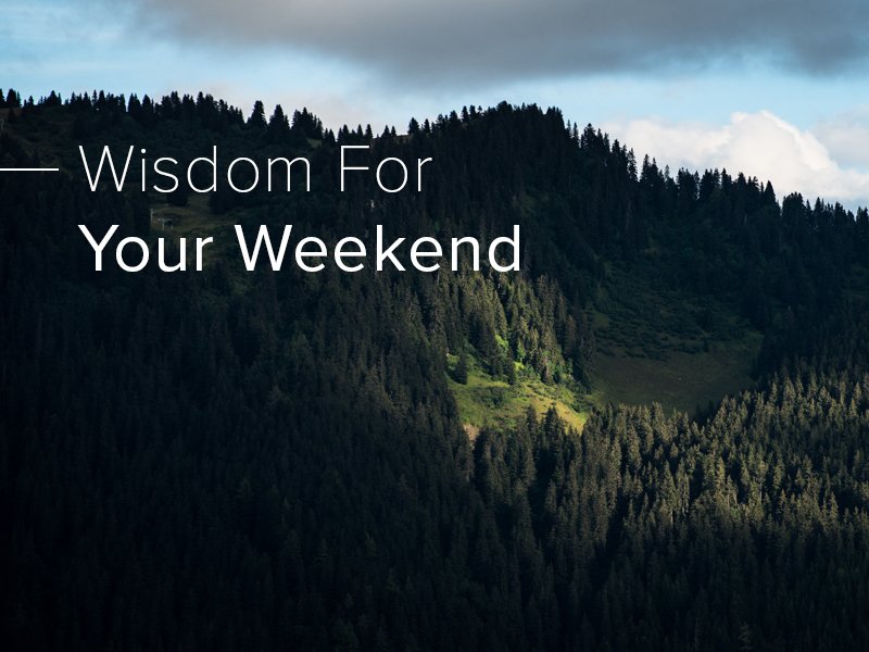 jdgreear's tweet photo. Six reasons you should read the Bible (as fast as possible): https://t.co/wKvGMTLwTa https://t.co/r5nDyHkE0y
