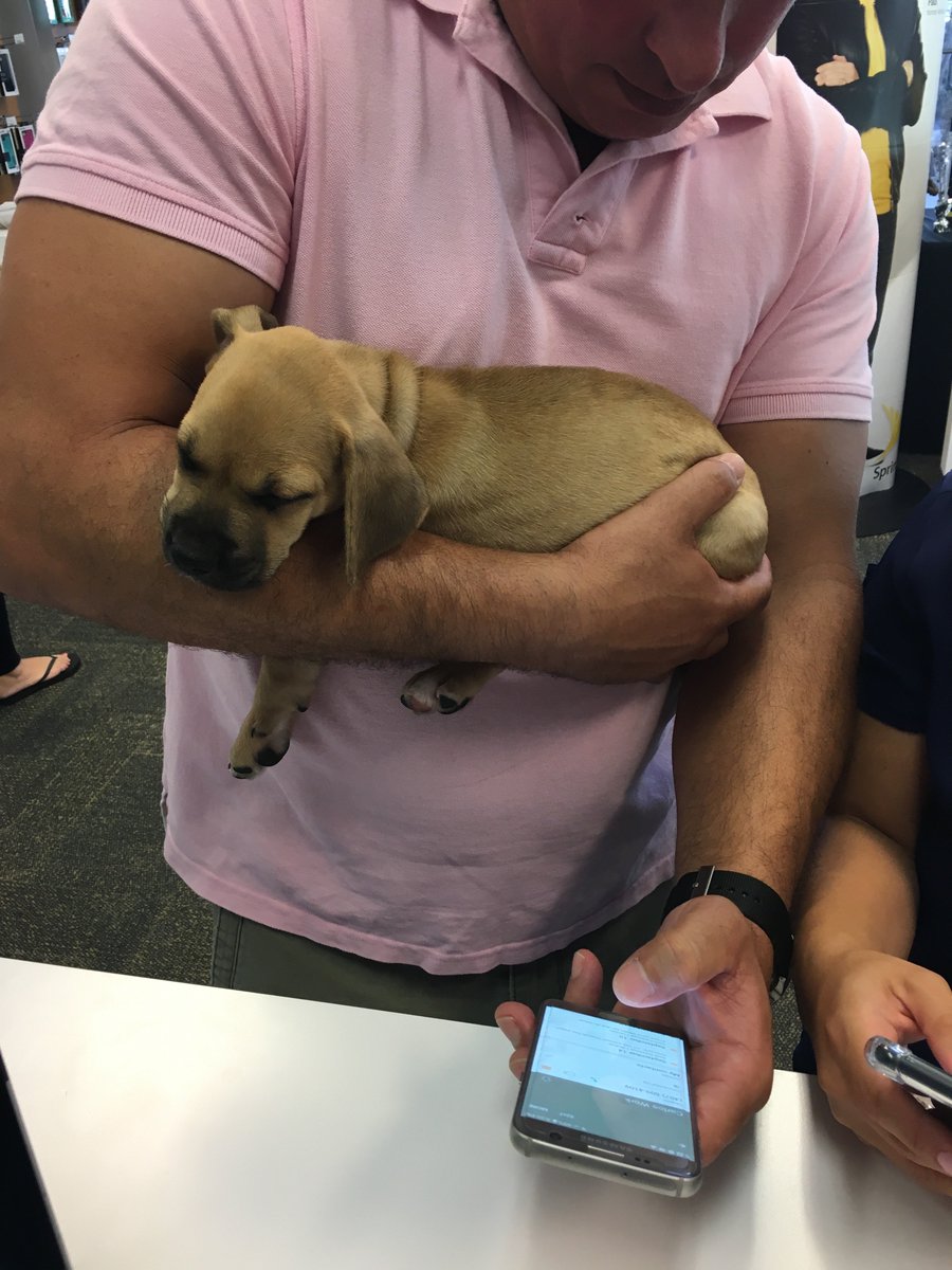 sprintattheloop's tweet photo. It's been a loooong day for everyone!
#iPhoneLaunch7
#TotallyWorthIt https://t.co/gvBQPG6EbG