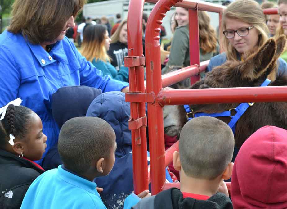 FFAfoundation's tweet image. National Teach Ag Day is just around the corner on September 22!
bit.ly/2cPsgFa