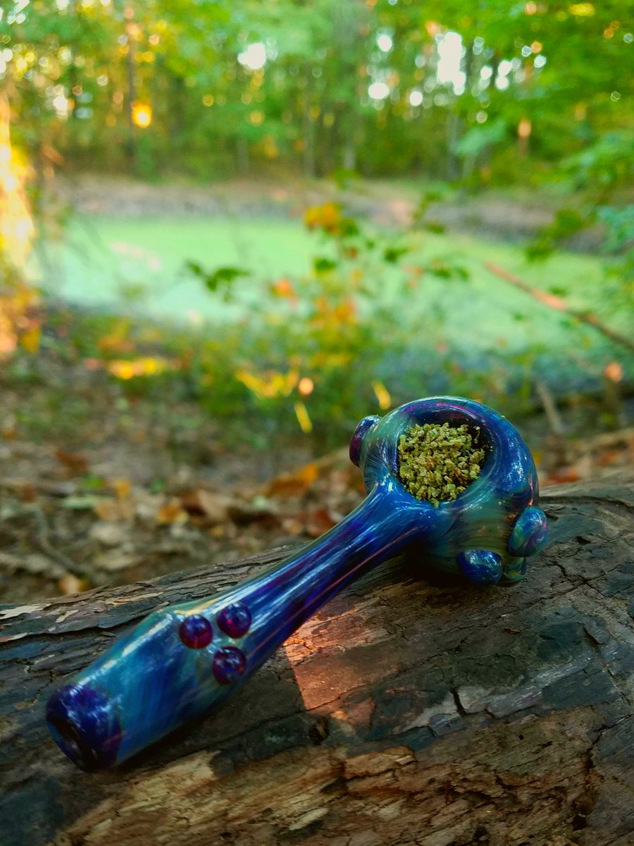 NothingbutGrass's tweet photo. What's your smoke spot? #420 #smoke #cannabis #maryjane https://t.co/izVkjigjyI