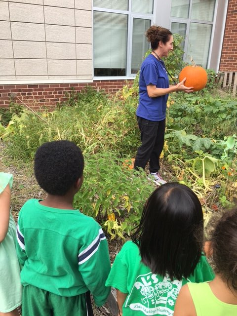 DanielsRunES's tweet image. Kindergarten scientists explore the Daniels Run vegetable garden pumpkin patch! #spaceforlearning