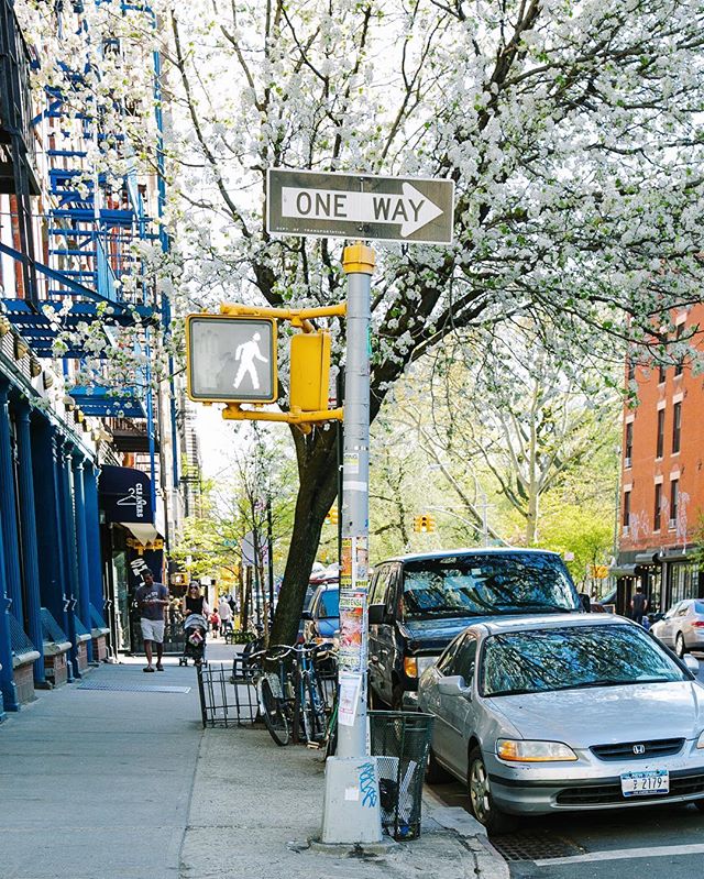 dsarealtynyc's tweet photo. Exposed brick, fireplaces, Tompkins Sq Park...
Contact us for more info if this is calling your name 📥  #EastVillage https://t.co/wLyqYBmhkw