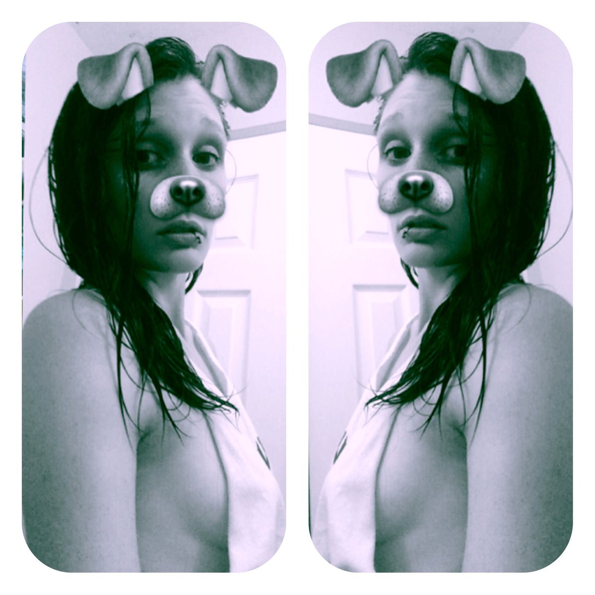 Dariboo18's tweet photo. #SideBoob #FamilyGuy #DogFilter 🤔🤔 https://t.co/1Is7XcW1wf