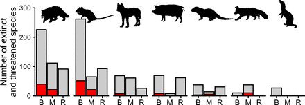 EuanRitchie1's tweet photo. 'Invasive predators and global biodiversity loss' https://t.co/wWOZofUyTh by @TimDoherty_ et al. @DeakinCIE https://t.co/QomYPnsfhJ