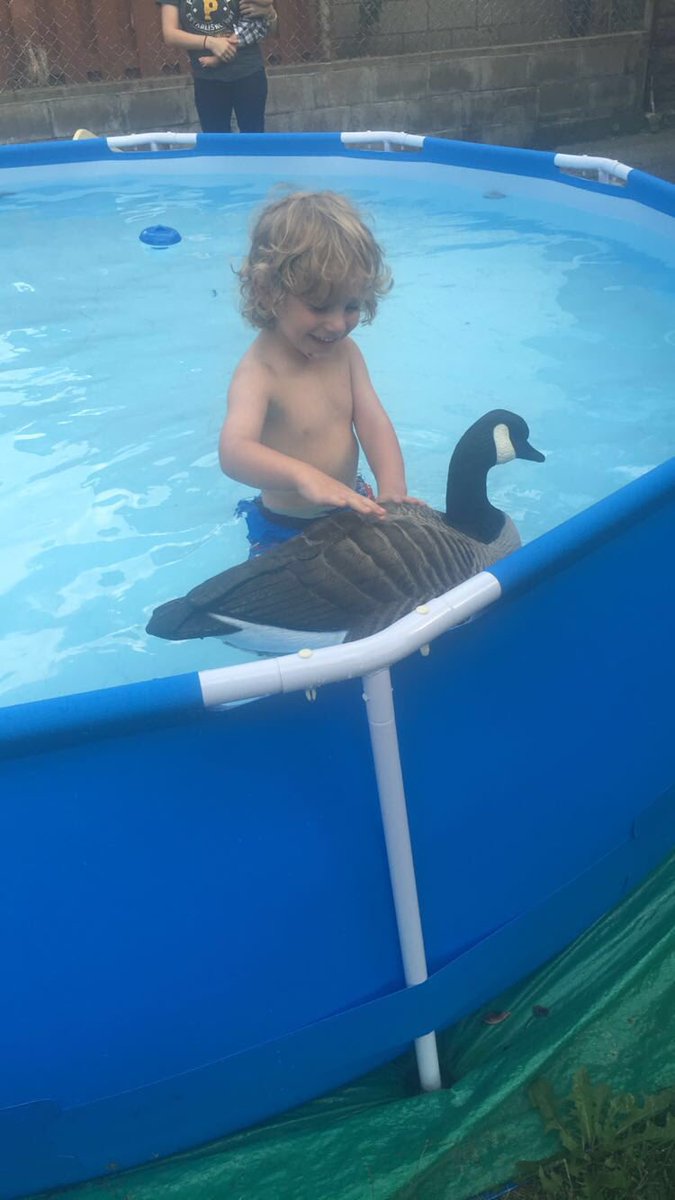mikeybeamer's tweet photo. The kid got bigger, the decoy got bigger, and so did the swimming pool! @Deer_slayer47 @BBUnlimited03 @alex_toth07 https://t.co/Lc14kCgAN2