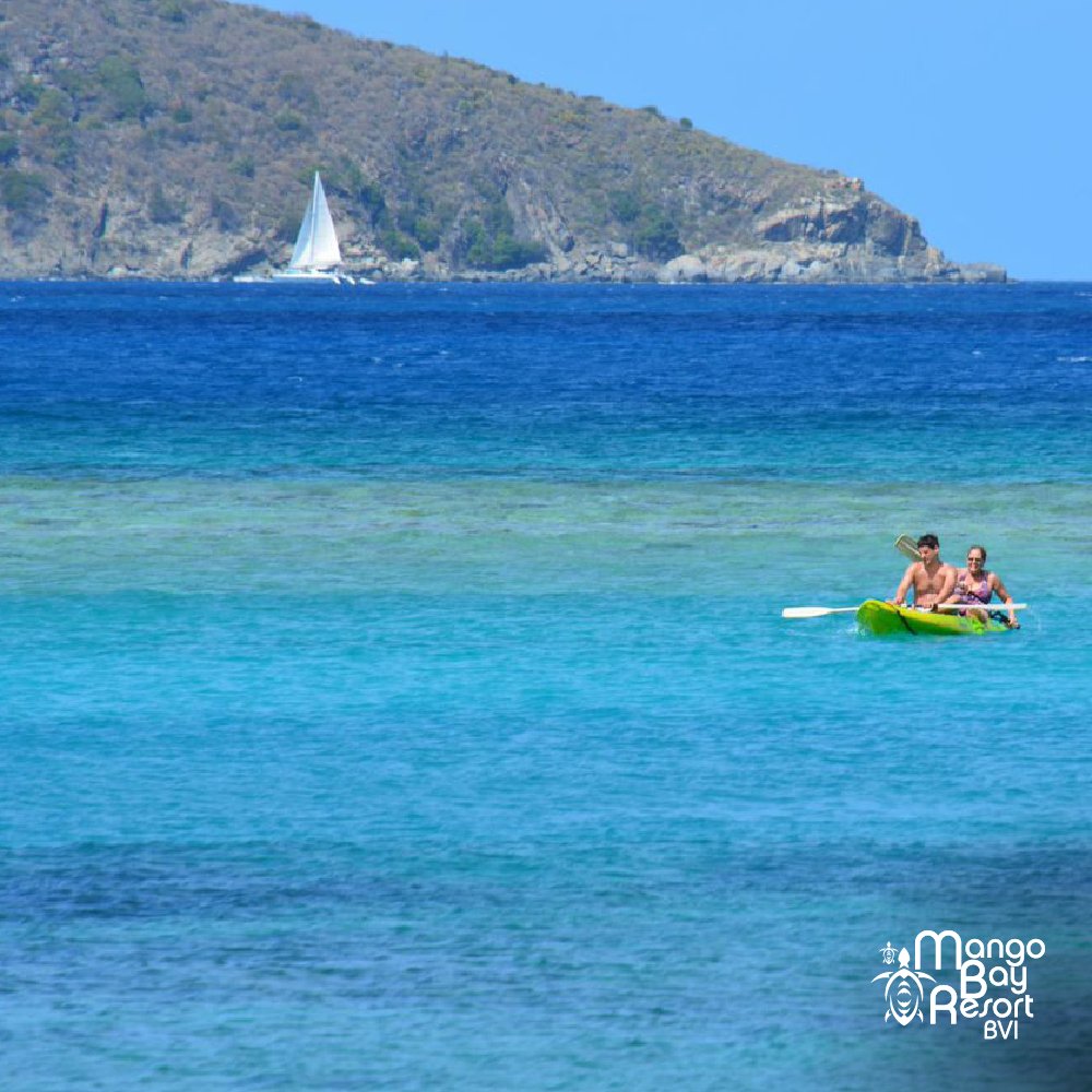 Mango Bay Resort (MangoBayResort) Twitter