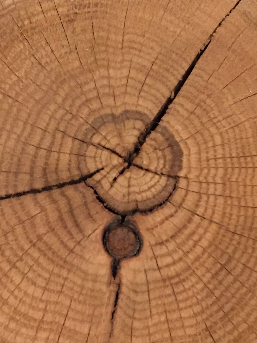 Martin Dahinden tweet media