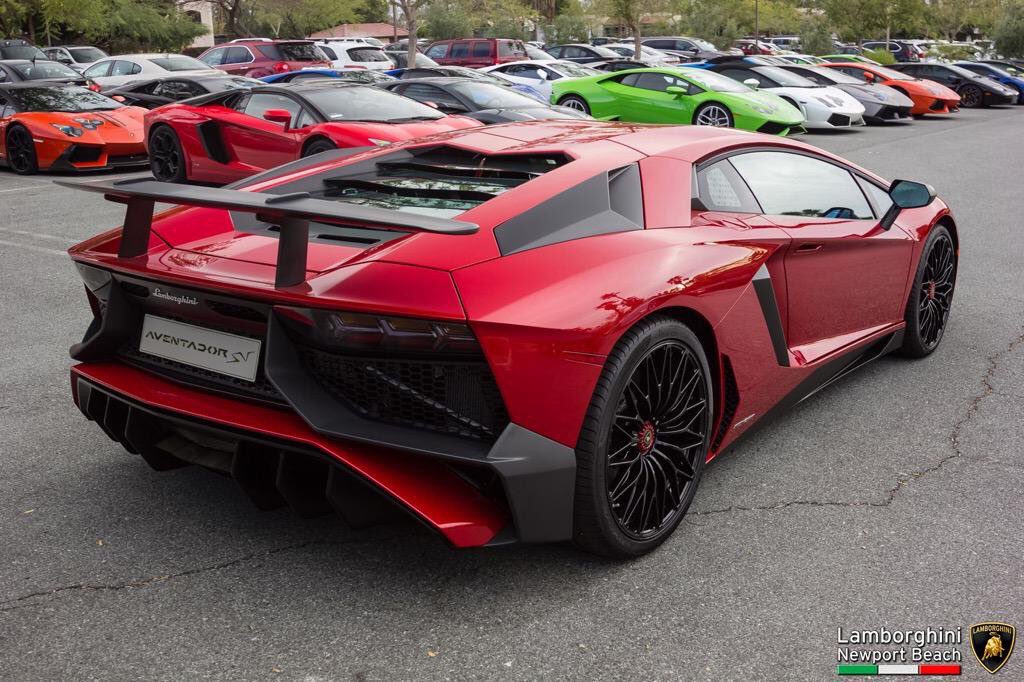 NextLevelLux's tweet image. Mean looking 👿