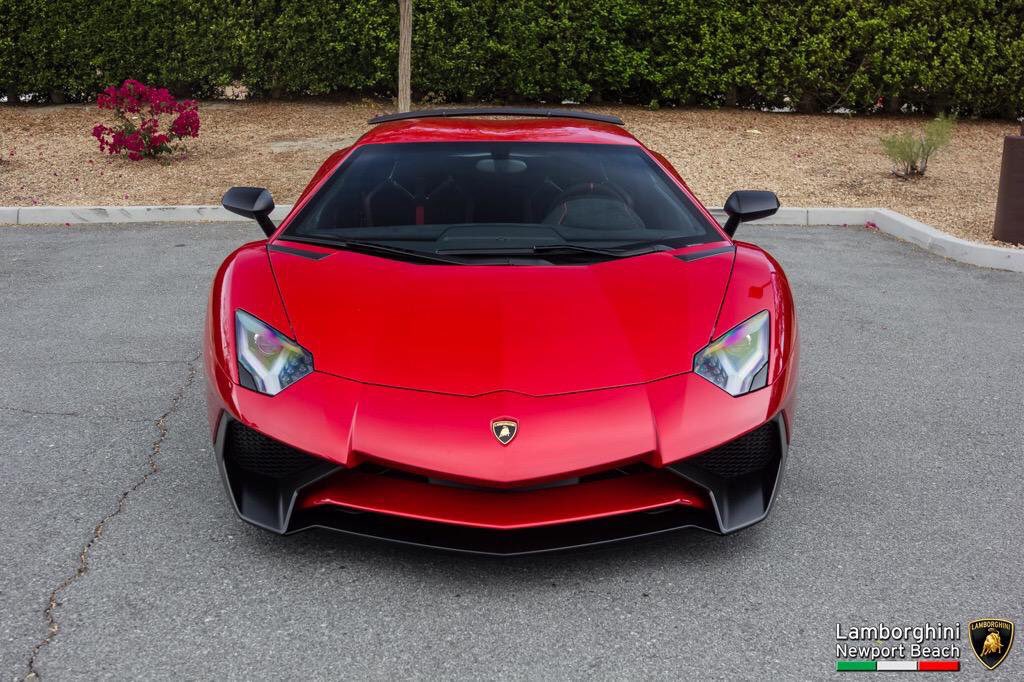 NextLevelLux's tweet image. Mean looking 👿