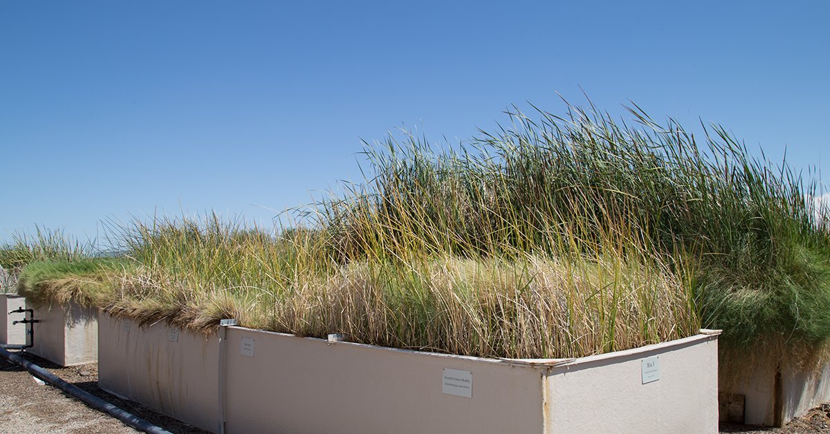 GoodyearAZGov's tweet photo. City of Goodyear wins awards for its out-of-the-box water conservation and reuse ideas: https://t.co/lMCp7gkahR https://t.co/lHFK3tQqjw