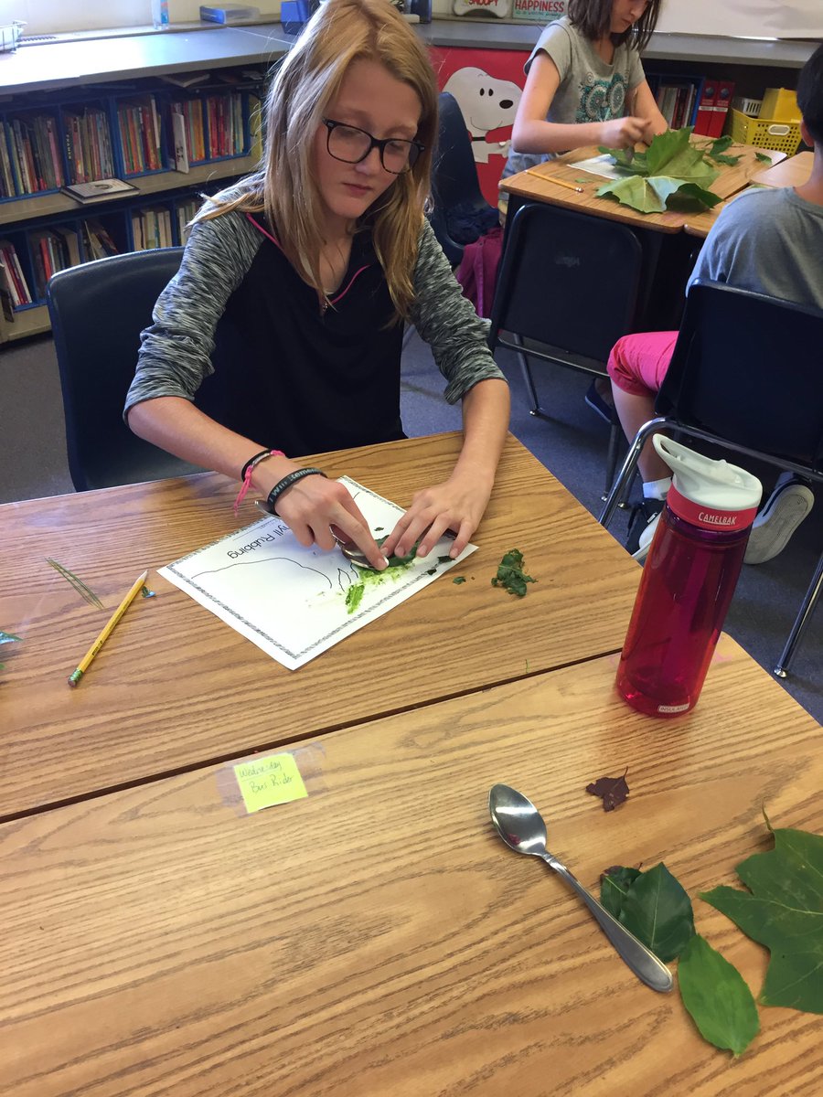 MrsPreston4th's tweet photo. Chlorophyll rubbings in Mrs. Preston's 4th grade class. https://t.co/zQdVRbpW8M
