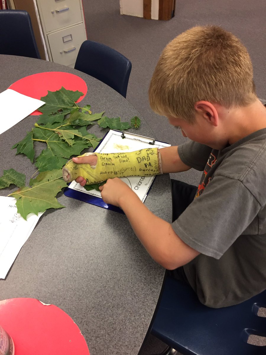 MrsPreston4th's tweet photo. Chlorophyll rubbings in Mrs. Preston's 4th grade class. https://t.co/zQdVRbpW8M