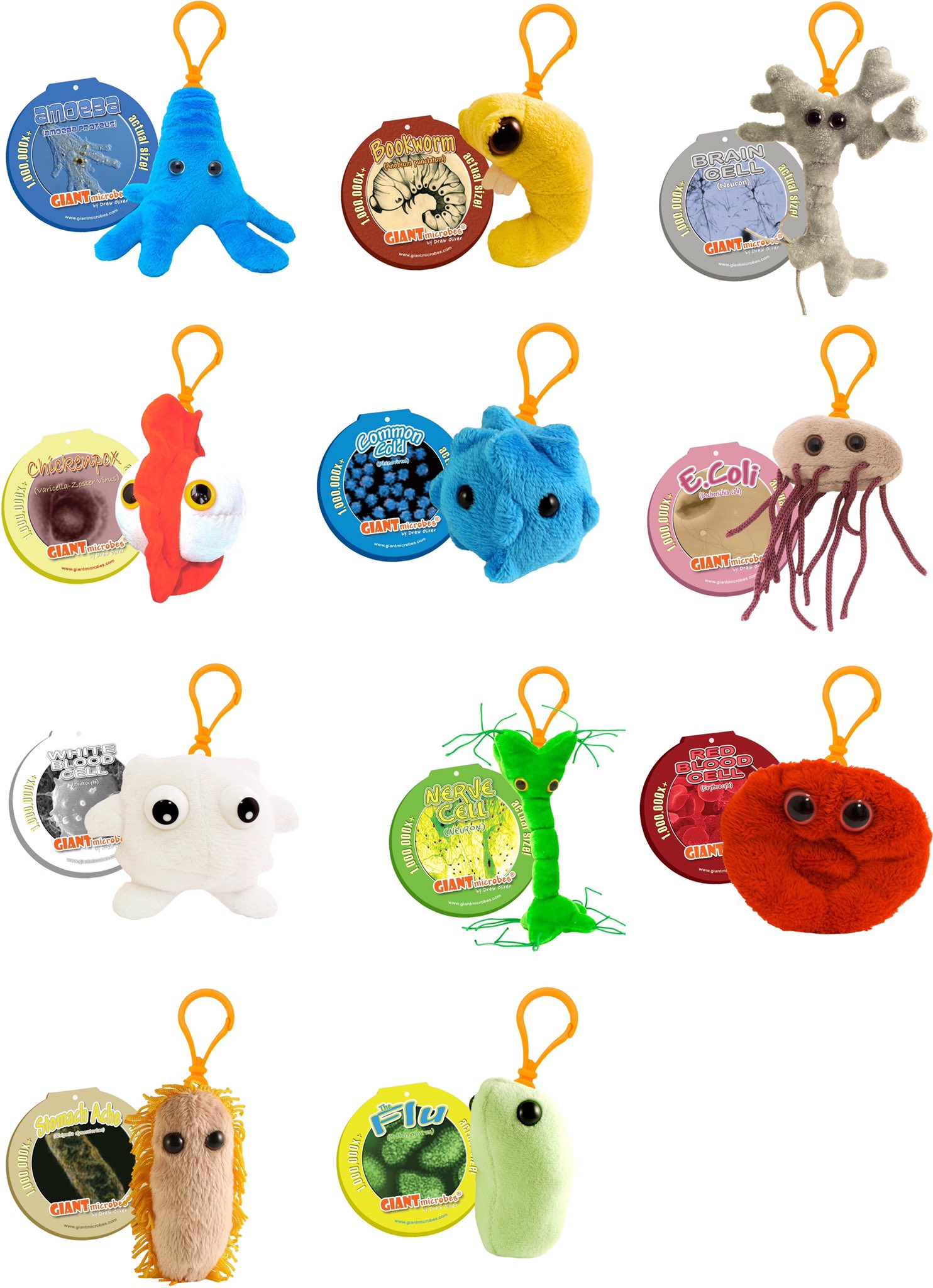 Cocoro 虫のぬいぐるみが欲しいわと思ってたら 細菌や寄生虫のぬいぐるみ売ってる海外のサイトを見つけてしまった ちょっとかわいい