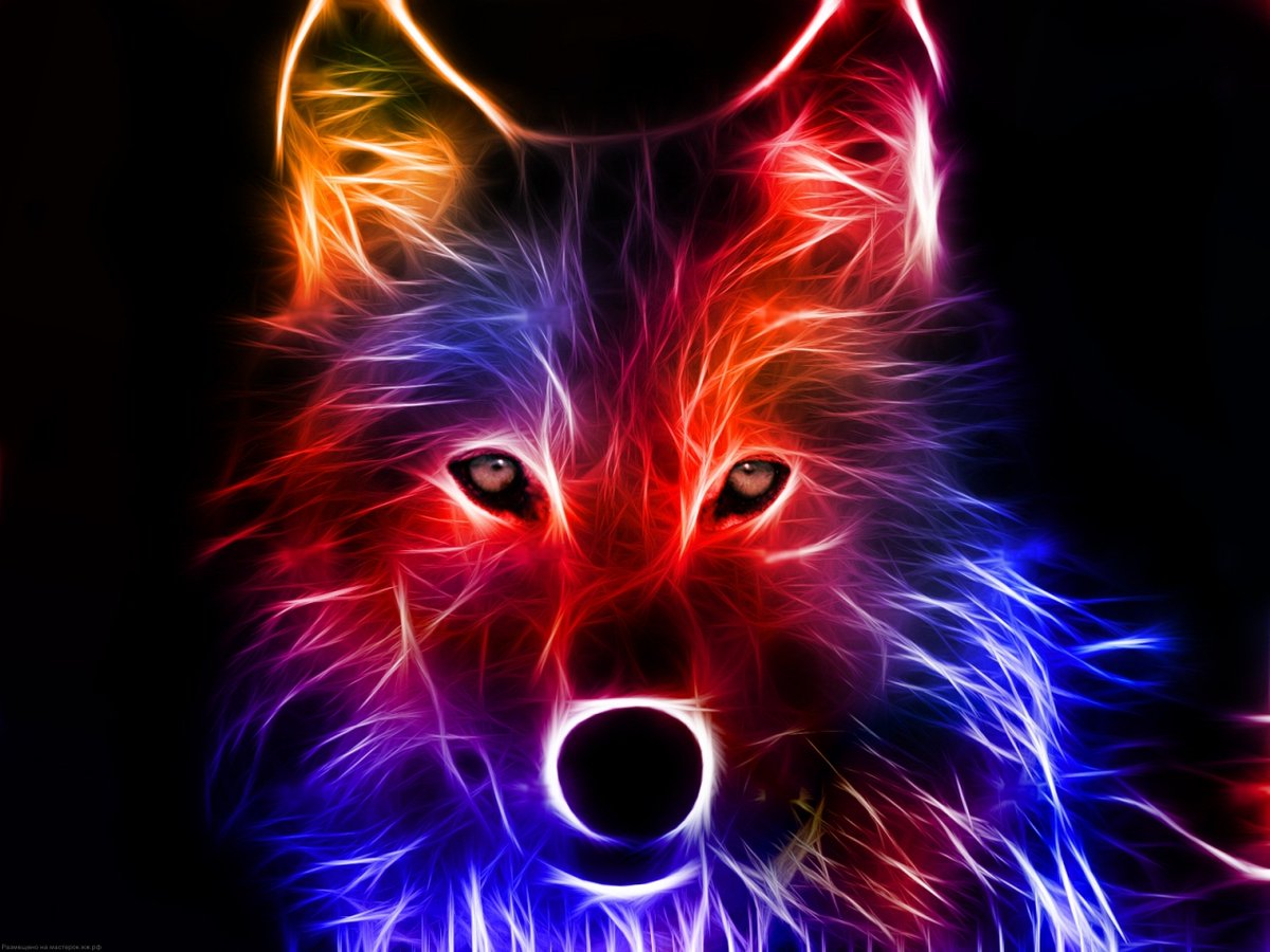 sarthak_banerje's tweet photo. #MOSHALB #3dwallsticker #awesome https://t.co/lRfeR5RM4r