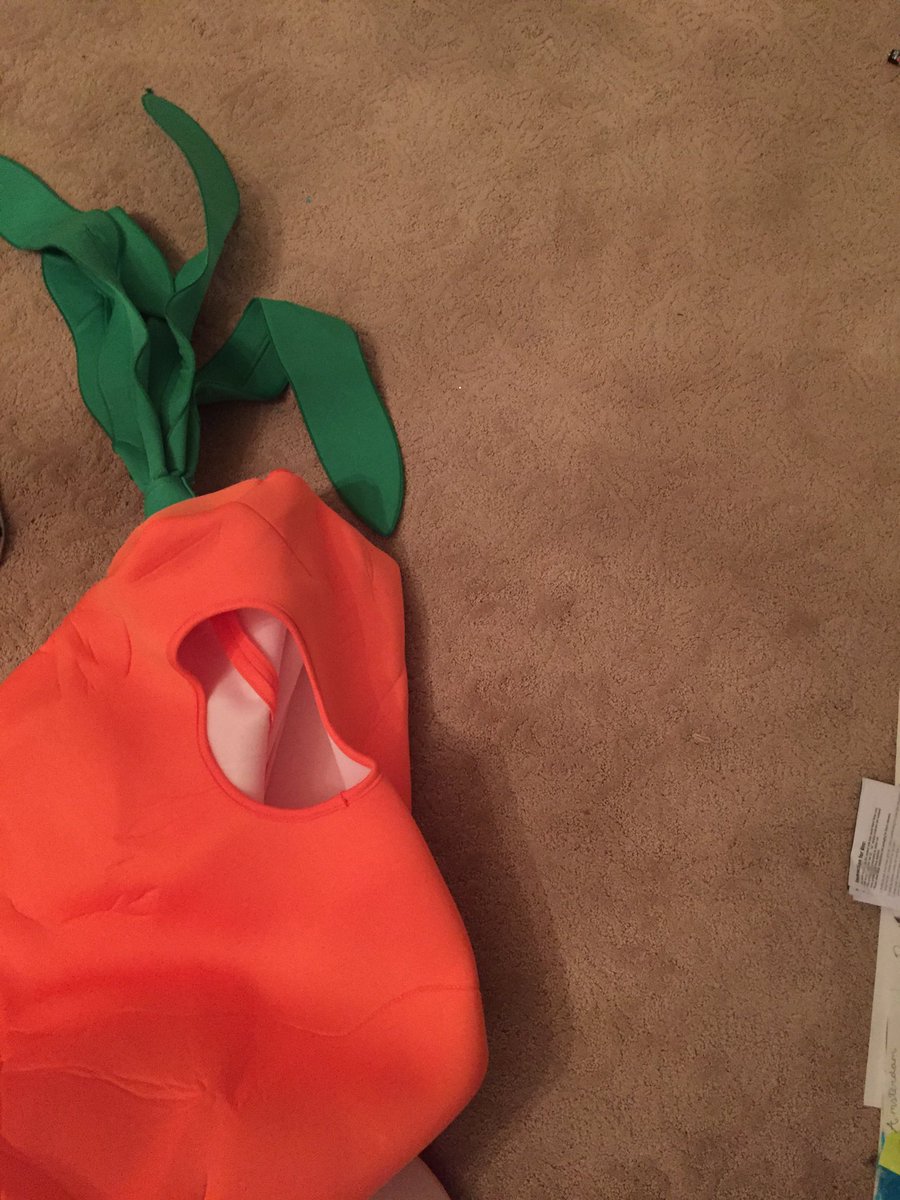 alyssa8beans's tweet image. If this tweet gets 250 retweets I'll wear this carrot costume to a 5sos concert on their next tour cause why not