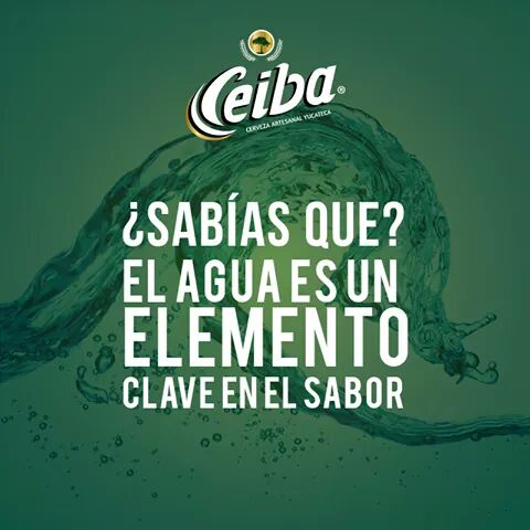 <a href="/CervezaCeiba/">Cerveza Ceiba</a> buen #dato #cerveza #Mexico