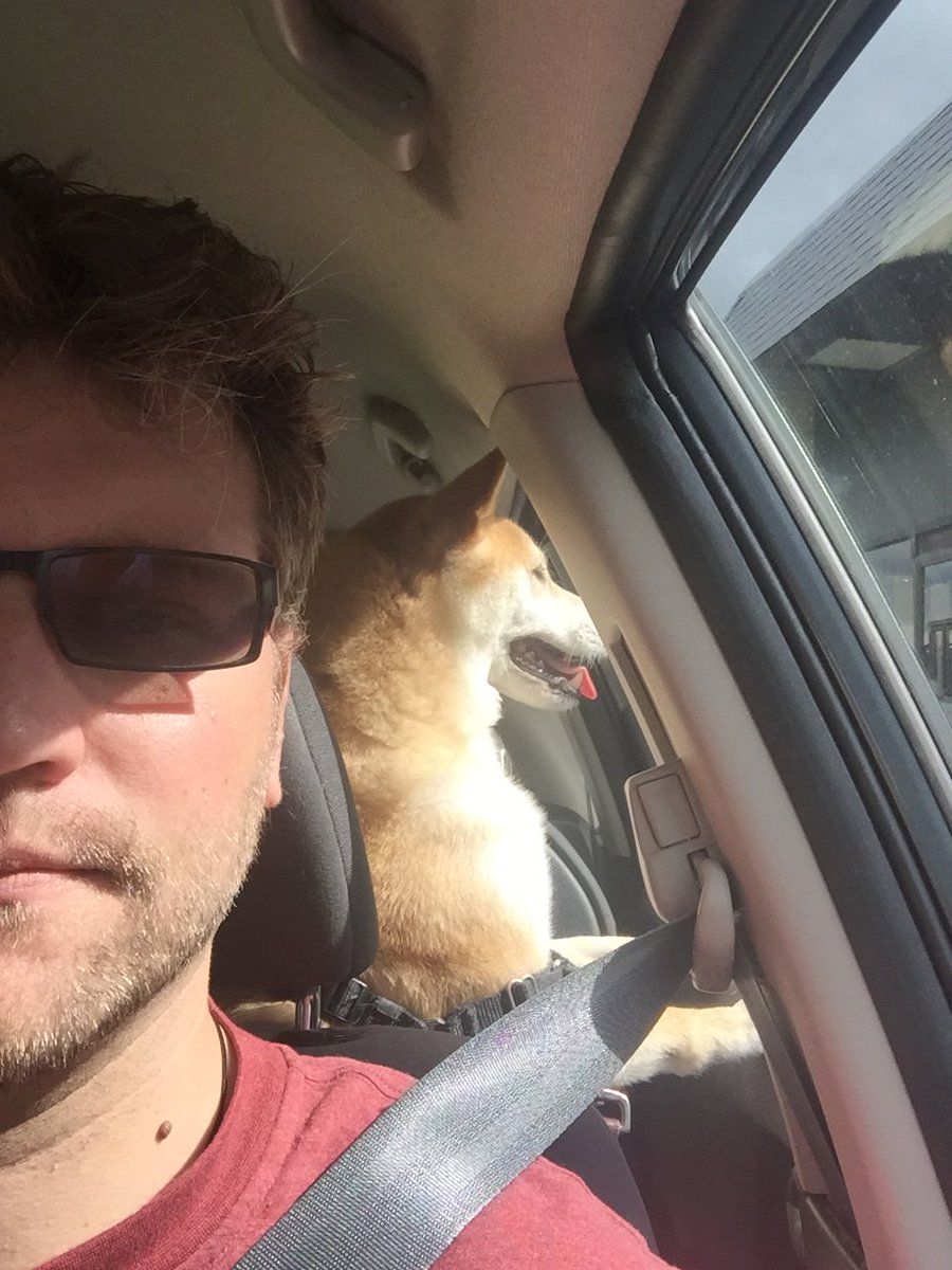 soless's tweet photo. Backseat driver. #headWestYoungMan #duskWard https://t.co/tbjep5AmRv