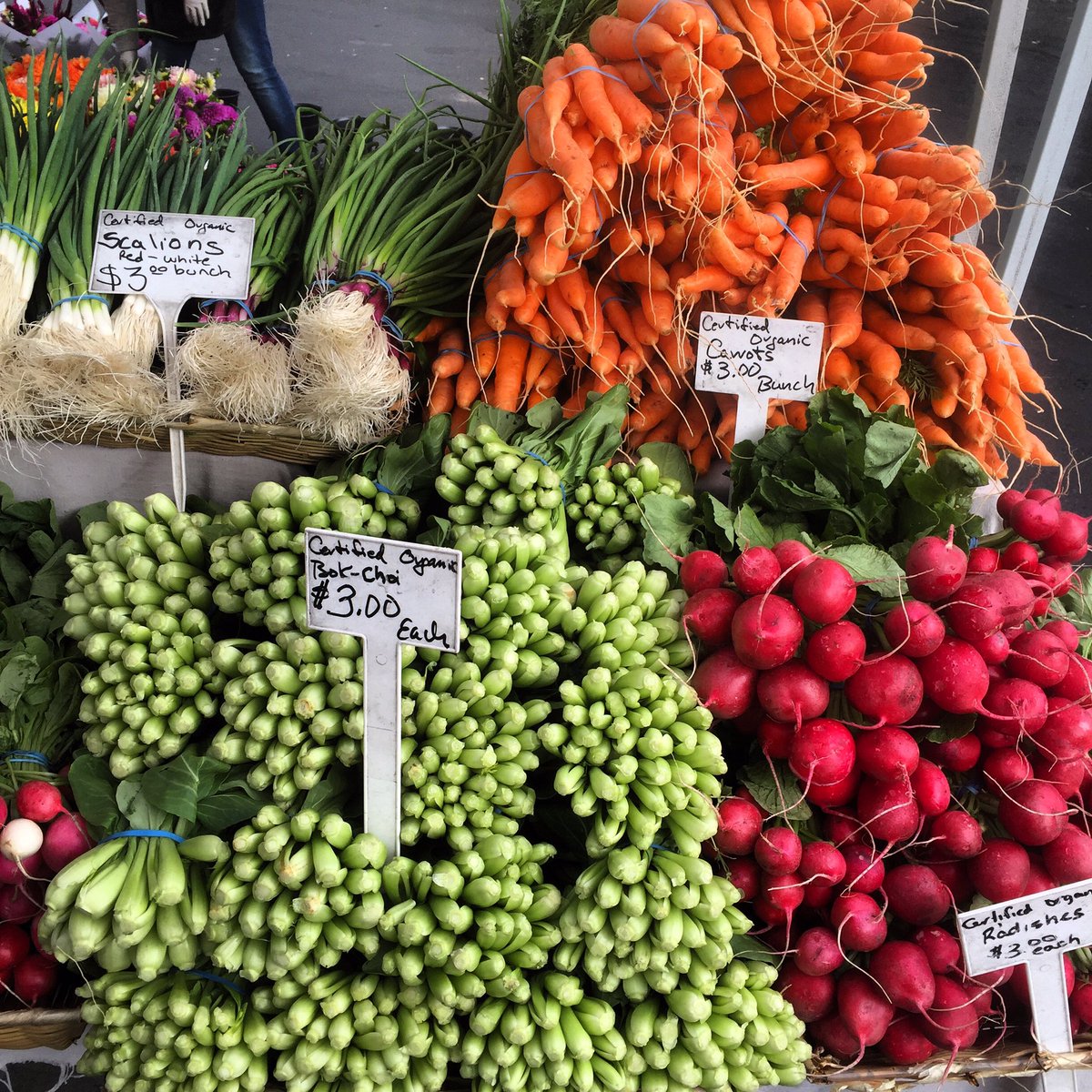 MadronaFMKT's tweet photo. Very baby Bok Choi coming to from Stoney Plains Farms. #sfmamarkets #bokchoi #shoplocal #summertime https://t.co/uZV6Rx1VJ2