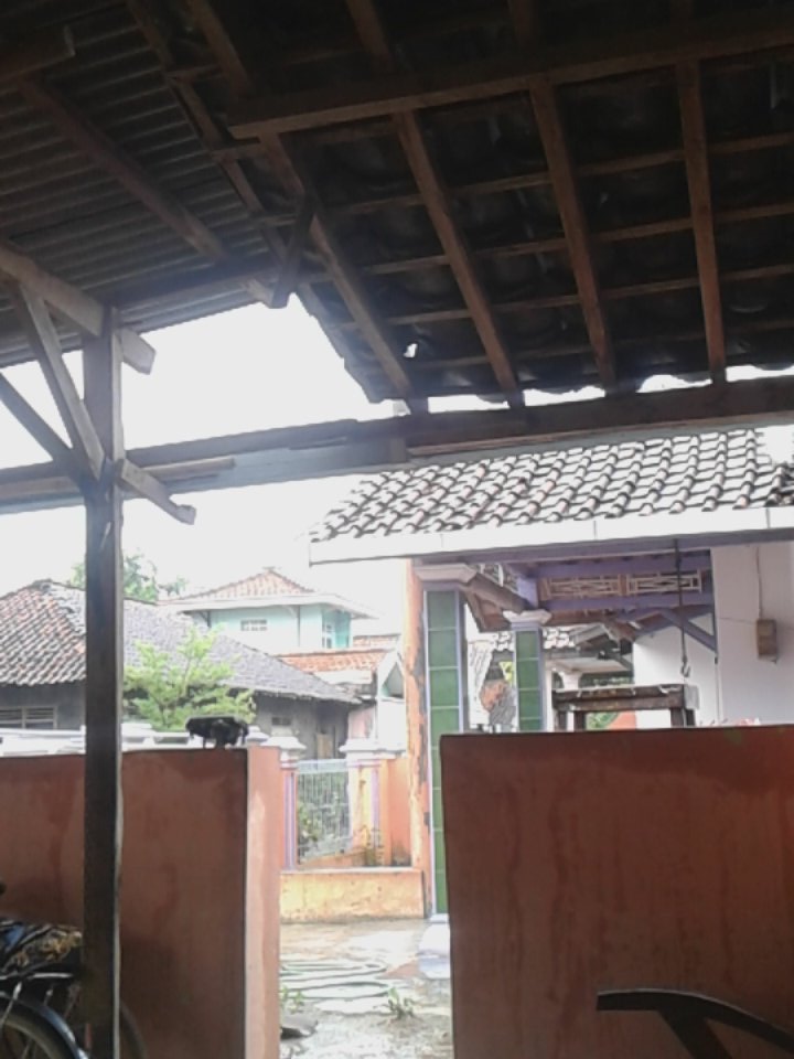 reyvan_saputra's tweet photo. Banjarharjo di guyur hujan . https://t.co/KFXiu27LhK
