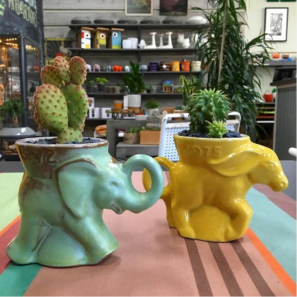 arizonapottery's tweet photo. We love odd pots & planters. They make indoor garden so much more interesting. #oddpots #elephantpots #gardening https://t.co/dOKFVhIlY5