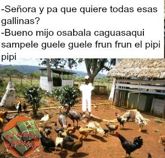 TuChisteCriollo's tweet photo. #ViernesDeGanarSeguidores 
#FelizViernes 
#SIGUEMEYTESIGO https://t.co/jfLbw0NI07