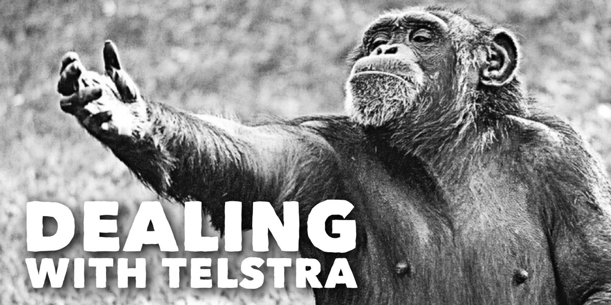 australiawow's tweet photo. RT if this is how you feel when you have to talk to @Telstra. About anything. At. All. https://t.co/iTy0Aj6Xju