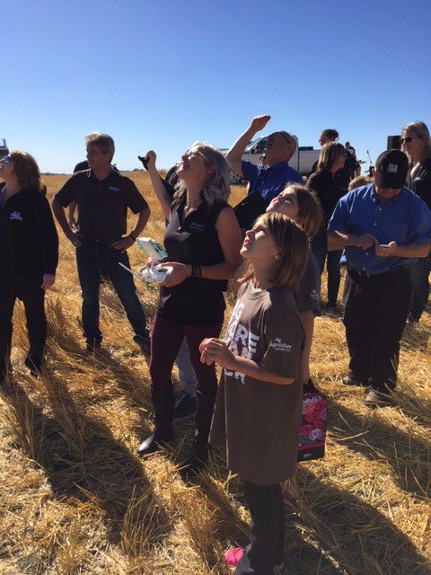 CPSLearnAg's tweet photo. Amazing day for our first CPS Learn Ag Harvest! Huge thanks @_StaySharpe @wkaeding and Sorgard Seeds #harvestgotime https://t.co/DNfgrLZBme