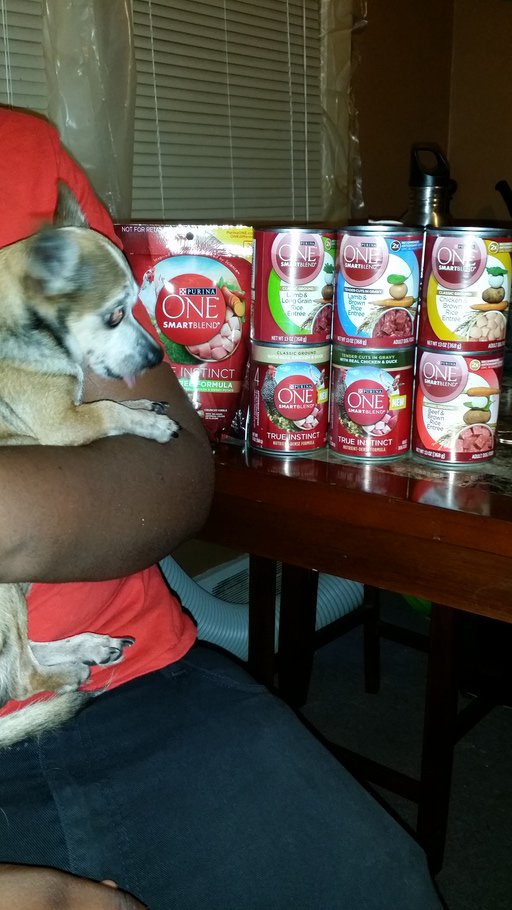 mesmero9's tweet image. #free See the difference. #ONEdifference #FreeSample landing.smiley360.com/landingpage147…