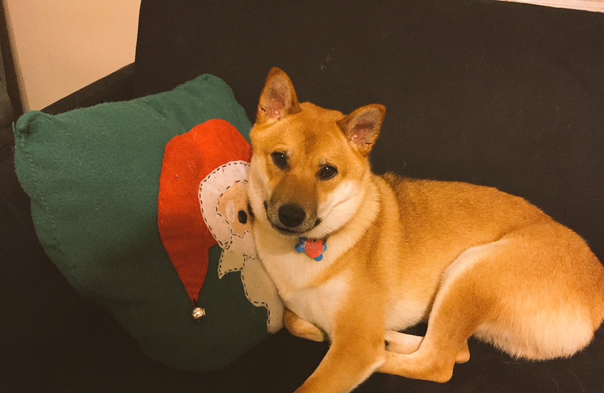 xKellison's tweet photo. When Christmas is less than 100 days away https://t.co/6vE2d4hWou