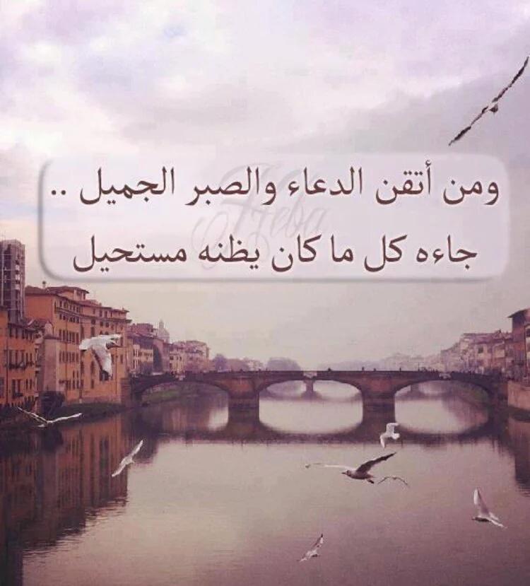 aibrahim55566's tweet photo. 🔺يارب وإن خابت كل ظنوني ..
فما خاب ظني و رجائي فيك
مسائكم خيرات https://t.co/VXsfNLsQuP