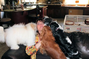 Noga messier (@kdx17) on Twitter photo 