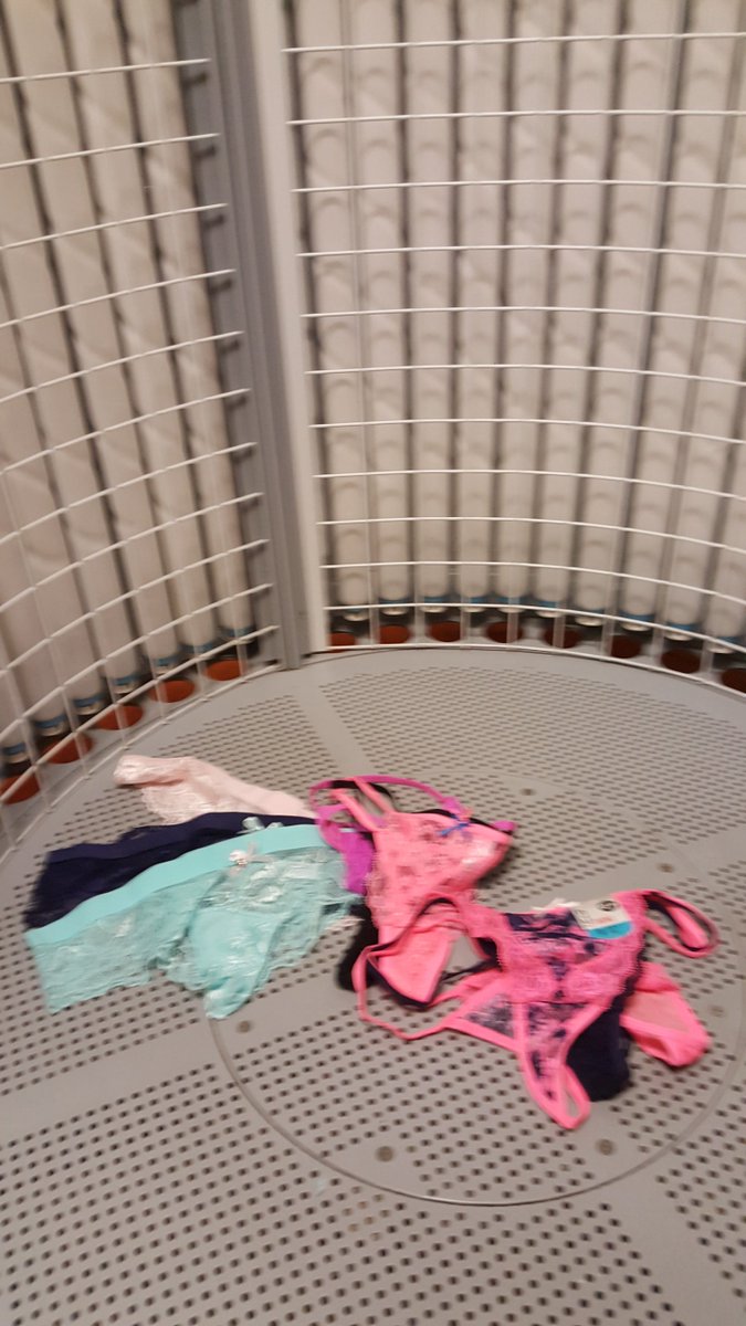 #Sunbeds and #panties shopping today xXx