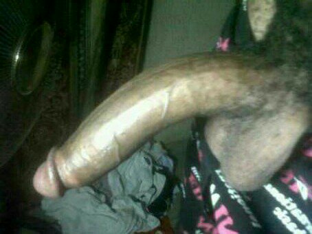 ci_eric's tweet photo. Pupua from indonesia kasiat dari daun bungkus dan kepala belum kali. https://t.co/JmefoekBPB