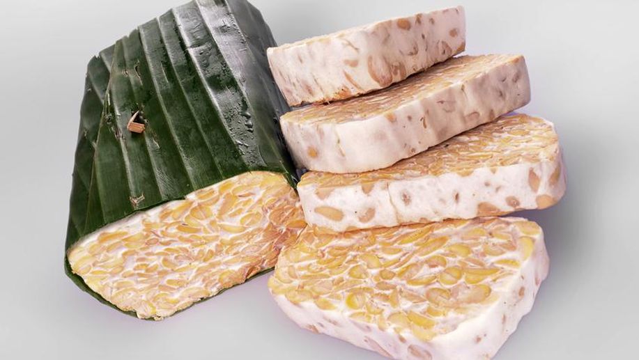 detikcom's tweet photo. Begini Proses Fermentasi pada Pembuatan Tempe https://t.co/iHxFyOVC1v via @detikfood https://t.co/RSzTz2LEhw