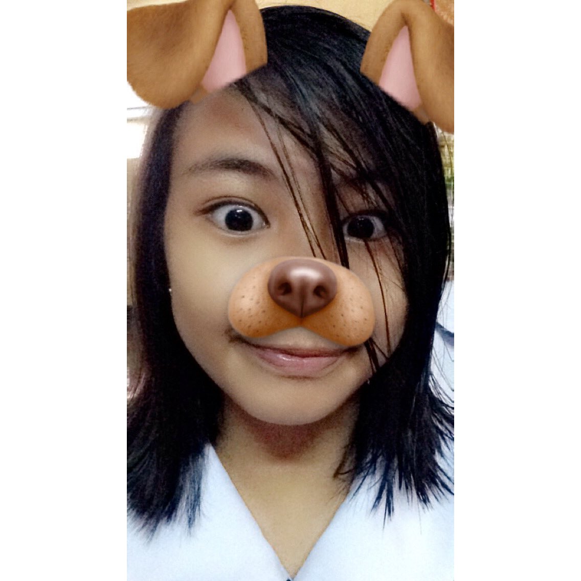 chychyakx's tweet photo. doggy 🐶 https://t.co/dQC8Db4gUv