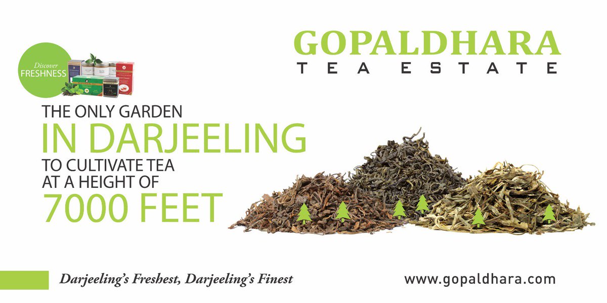 GopaldharaTeas's tweet photo. #GopaldharaTeaEstate #DarjeelingTeaEstate #HighestGarden #FreshTea https://t.co/XzzjztSp0N https://t.co/1YAmWyU4q4