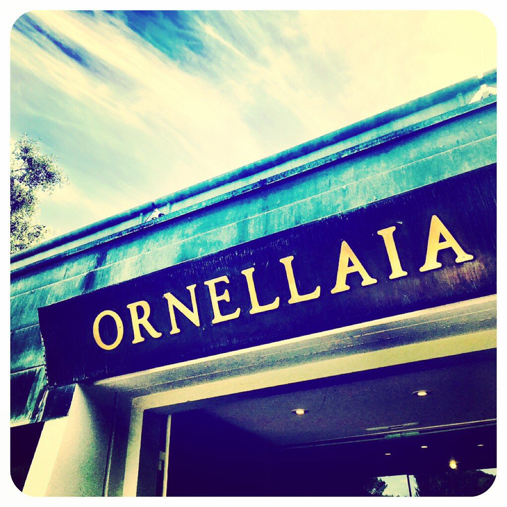 viweiland's tweet photo. @Ornellaia THANKS FOR HOSPITALITY ! #ornellaia #masseto https://t.co/Pw3C5XcEBh