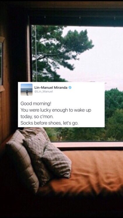 hamilocks tweet picture