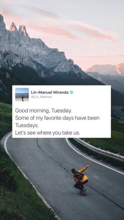 hamilocks tweet picture