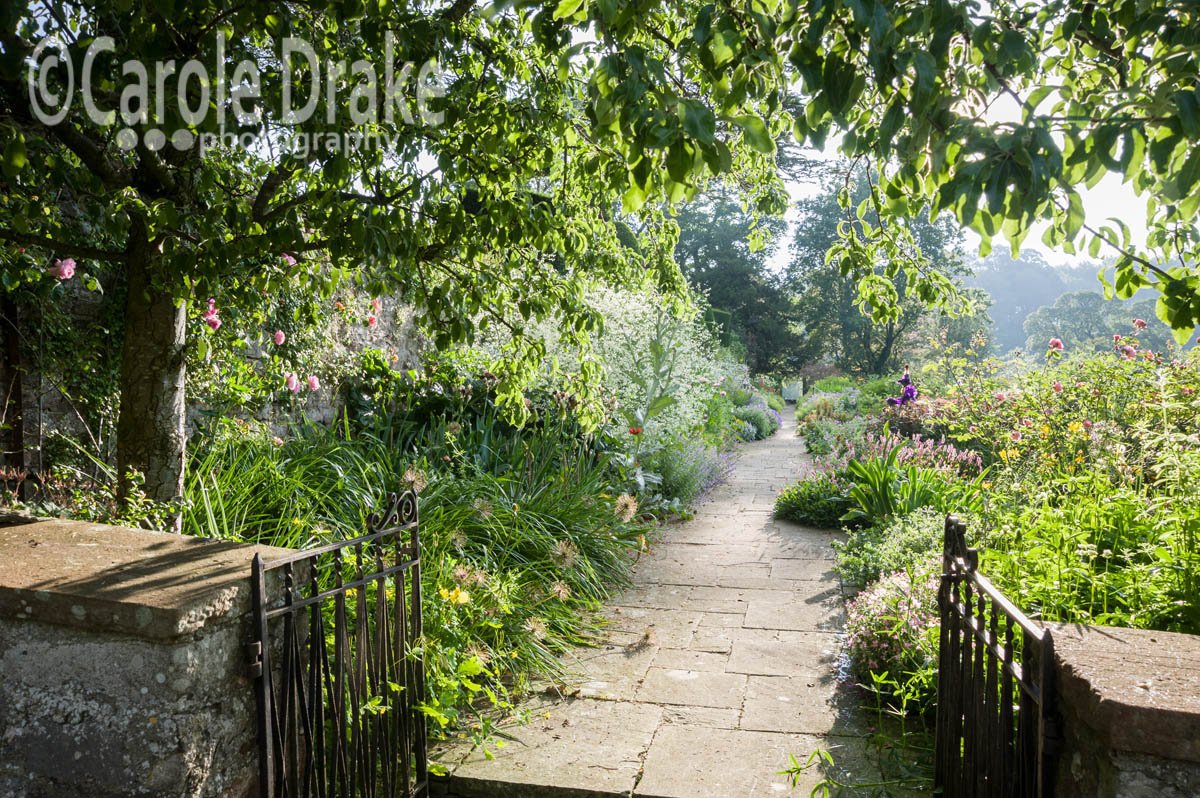 plewsgd's tweet photo. RT @CumbriaNGS Come along Sun 18th #AskhamHall #penrith looks like a sunny day #cumbria @NGSOpenGardens @gardentags https://t.co/g7DBN9Lwk6
