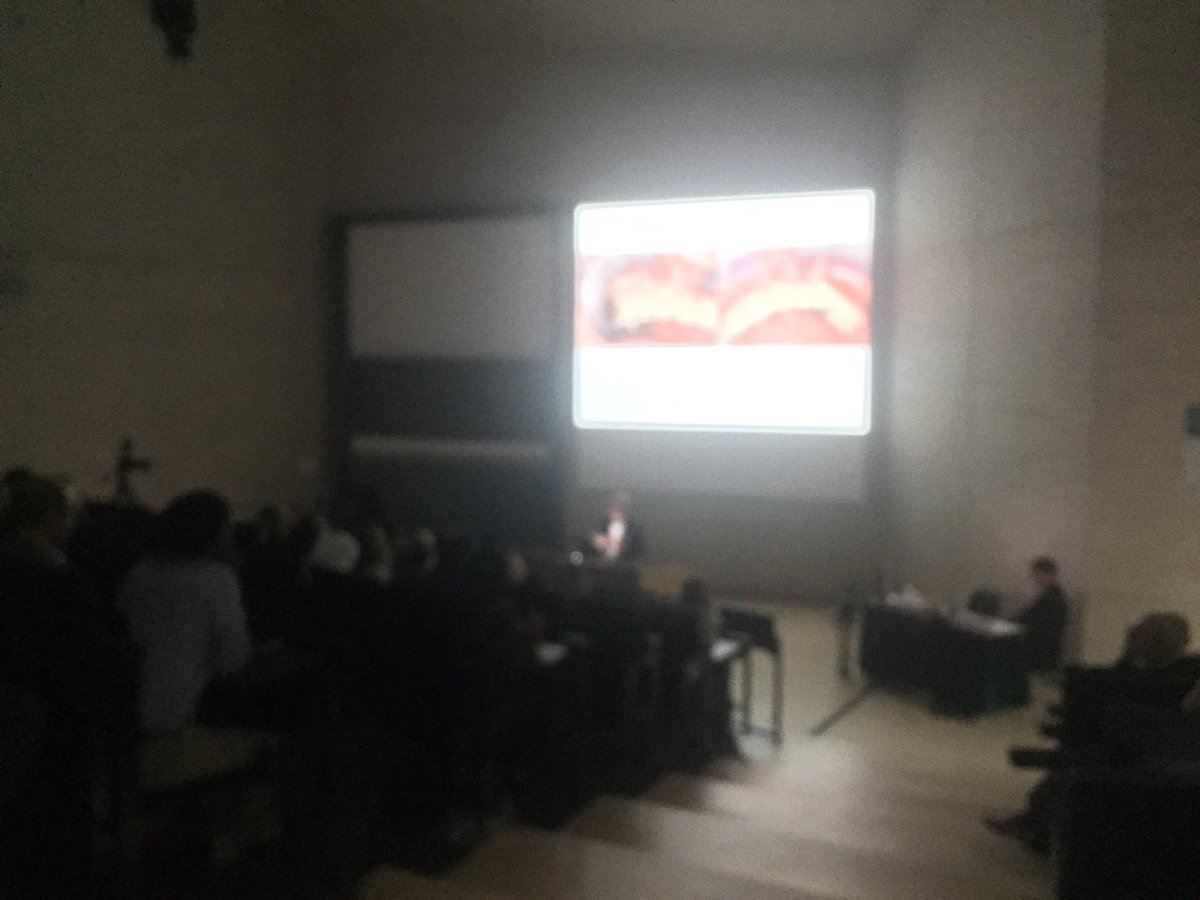 DrJochenDeppe's tweet photo. Prof. Biffar speaking about #prosthodontics and #populationhealth #dgpro #dentistry https://t.co/Z3qK0iuNcl